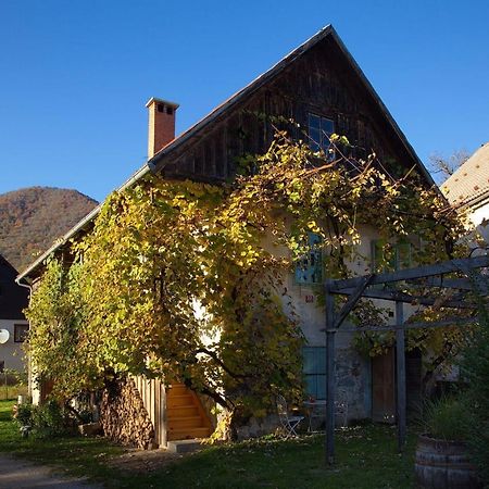 منزل الضيف Fara  في Vintage House Podliparska المظهر الخارجي الصورة