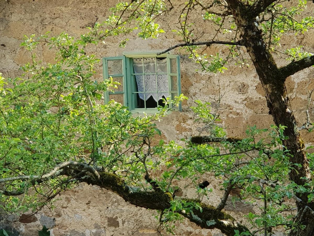 منزل الضيف Fara  في Vintage House Podliparska المظهر الخارجي الصورة