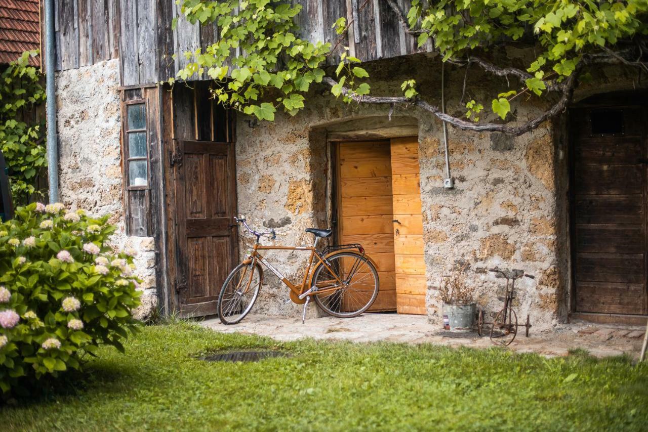 منزل الضيف Fara  في Vintage House Podliparska المظهر الخارجي الصورة